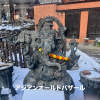 画像257