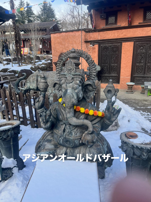 画像257