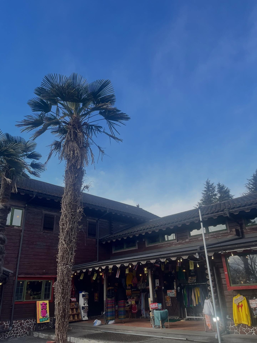 画像259