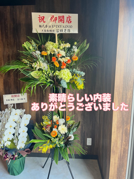 画像288