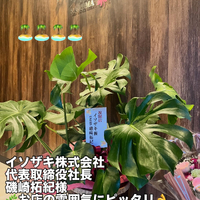 画像296