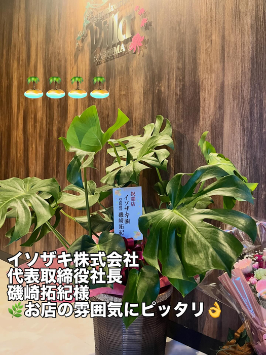 画像296