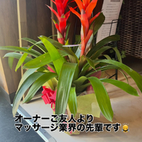 画像299