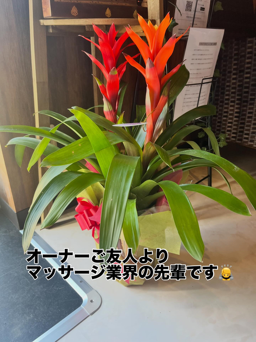 画像299