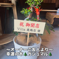 画像303
