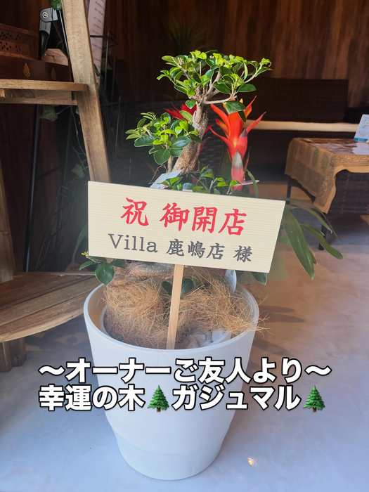 画像303