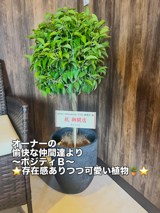 画像305
