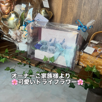 画像306