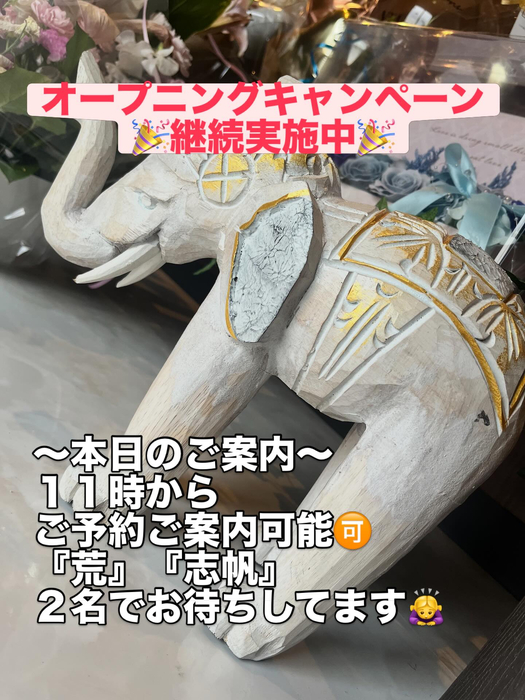 画像316