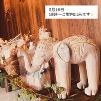 画像348