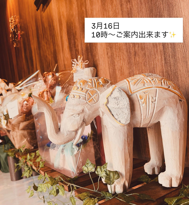 画像348