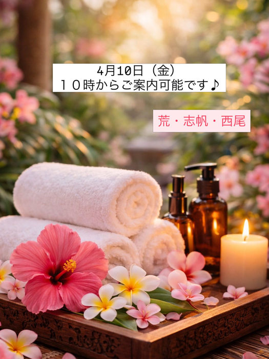 画像394